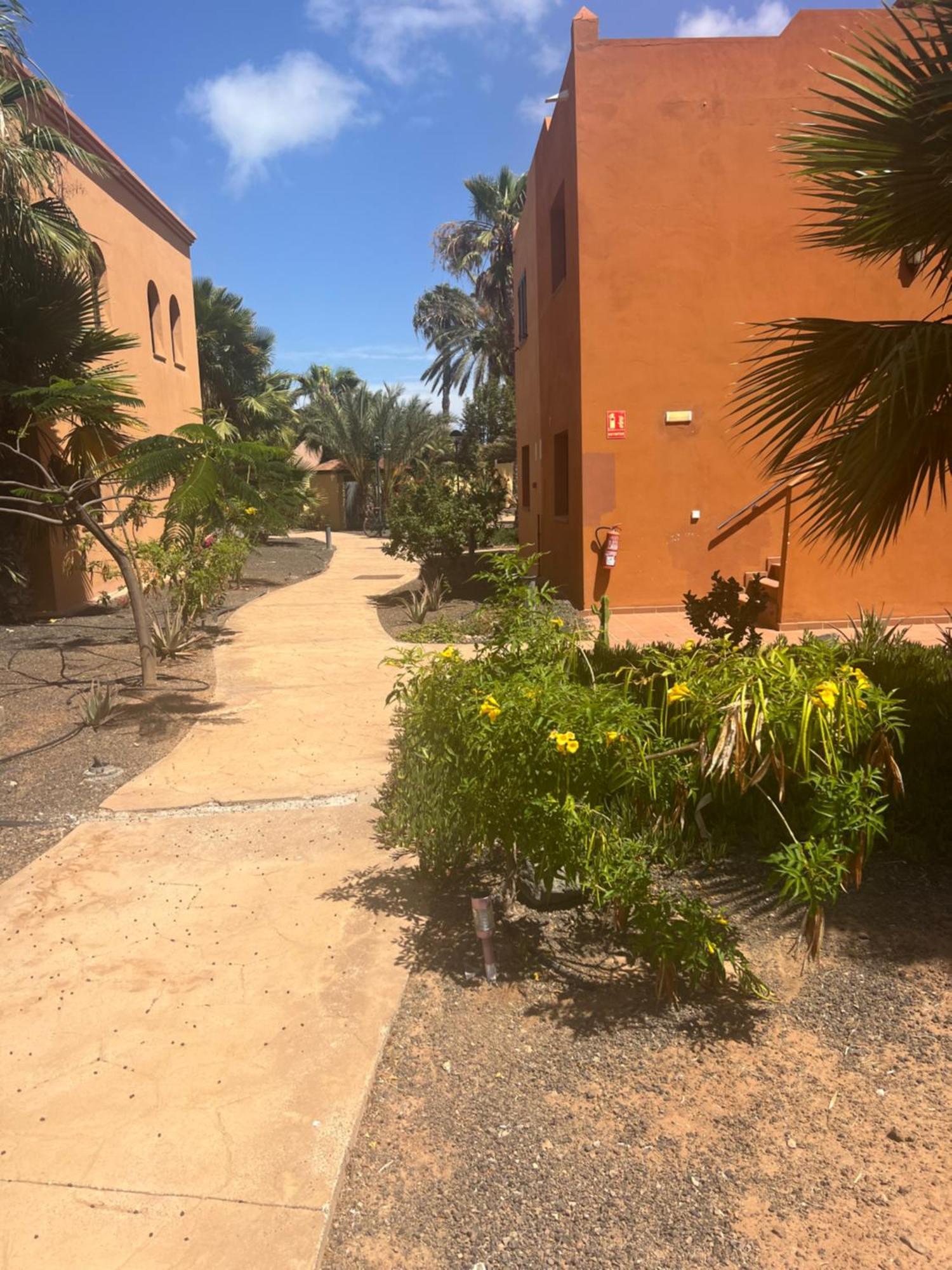 Paraiso Del Mar Corralejo Exteriör bild